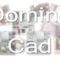 Order entry con modellatore di solidi